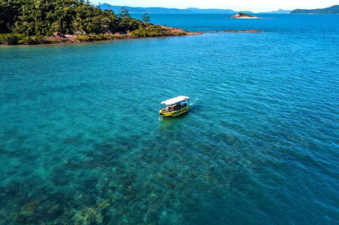 Airlie Beach Glass Bottom Boat Tour - Accommodation Brisbane 4