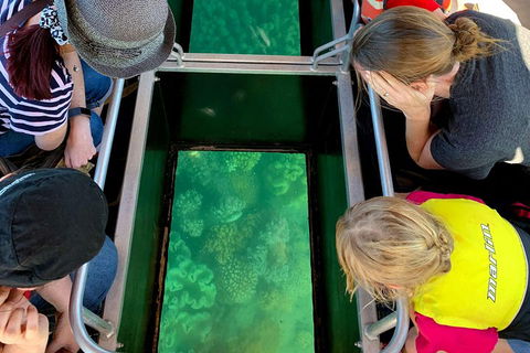 Airlie Beach Glass Bottom Boat Tour - Accommodation Brisbane 5