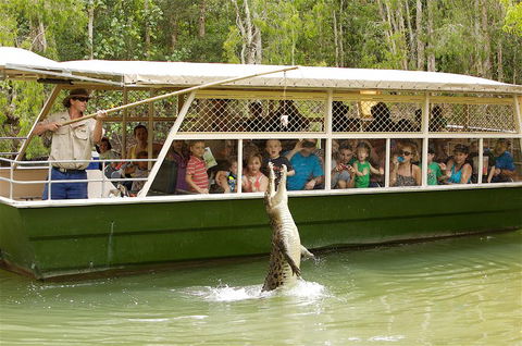 Hartley's Crocodile Adventure Half-Day Tour - Accommodation Brisbane 0