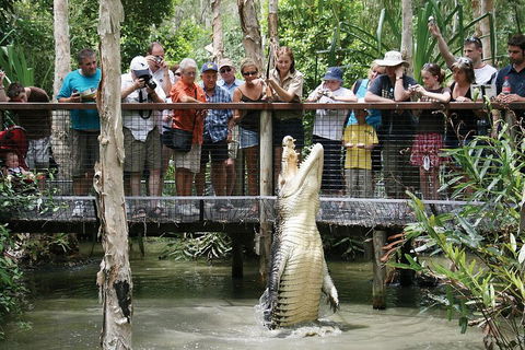 Hartley's Crocodile Adventure Half-Day Tour - Accommodation Brisbane 1