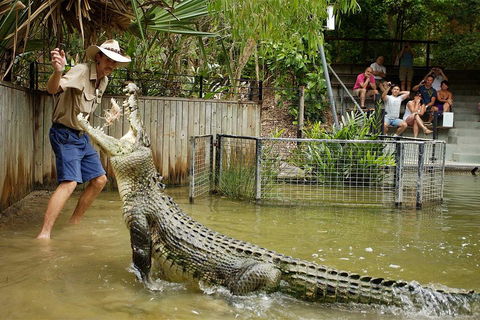 Hartley's Crocodile Adventure Half-Day Tour - Accommodation Brisbane 2