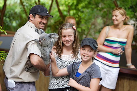 Hartley's Crocodile Adventure Half-Day Tour - Accommodation Brisbane 3