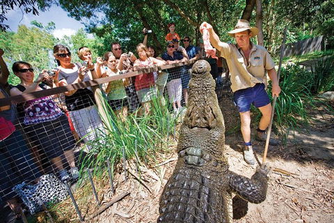 Hartley's Crocodile Adventure Half-Day Tour - Accommodation Brisbane 4