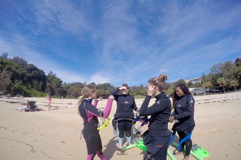 Manly And Shelly Beach Snorkeling Tour - Accommodation Brisbane 5