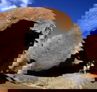 Full-Day Kangaroo Island Safari from Penneshaw - Accommodation Brisbane