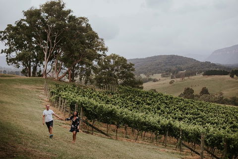 Luxury Blue Mountains Tour With Aussie BBQ Lunch And Wine Tasting - Accommodation Brisbane 3