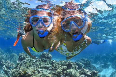 Great Barrier Reef Snorkeling And Diving Cruise From Cairns - Accommodation Brisbane 3