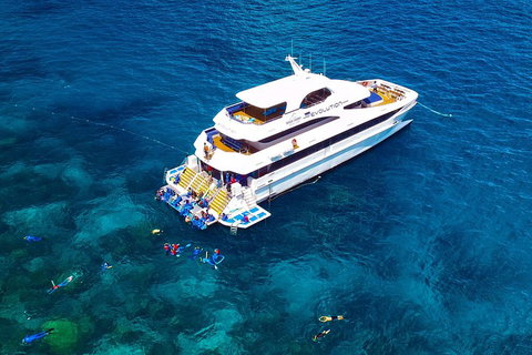 Great Barrier Reef Snorkeling And Diving Cruise From Cairns - Accommodation Brisbane 5