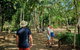 Scenic Cooktown & Outback (Fly/Drive) From Cairns, CNS Beaches Or Port Douglas - thumb 4