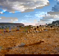 Mount Conner 4WD Small Group Tour from Ayers Rock including Dinner - Accommodation Brisbane