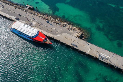 Rottnest Island Round-Trip Ferry From Perth Or Fremantle - Accommodation Brisbane 1