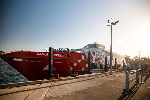 Rottnest Island Round-Trip Ferry From Perth Or Fremantle - Accommodation Brisbane 2