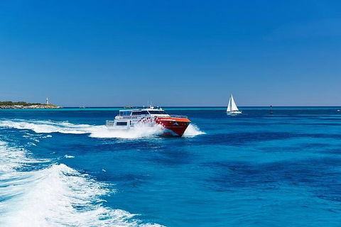 Rottnest Island Round-Trip Ferry From Perth Or Fremantle - Accommodation Brisbane 4