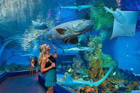 Cairns Aquarium Admission Ticket - Accommodation Brisbane 3