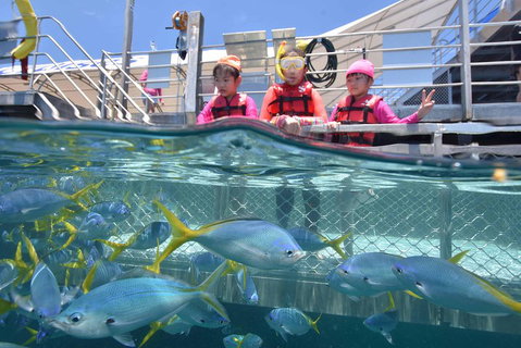 Outer Reef Pontoon Experience From Cairns - Accommodation Brisbane 0