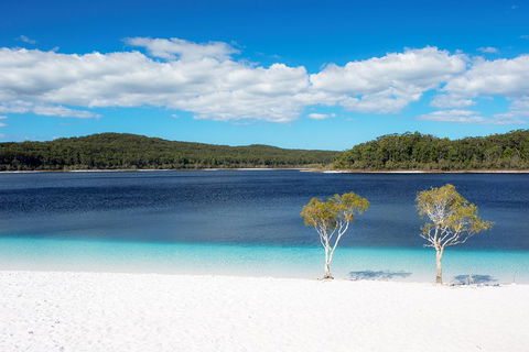 All-Inclusive Fraser Island Day Tour - Accommodation Brisbane 3