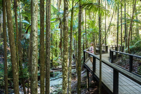 All-Inclusive Fraser Island Day Tour - Accommodation Brisbane 5