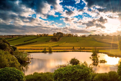 Josef Chromy Wines Winery Tour Including Tasting And Lunch - Accommodation Brisbane 3