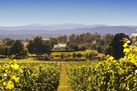 Josef Chromy Wines Winery Tour Including Tasting And Lunch - Accommodation Brisbane 4