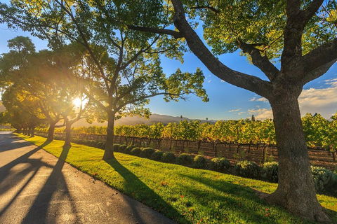 Very Best Of Perth Tour - Wildlife Park & City Highlights Tour - Accommodation Brisbane 2