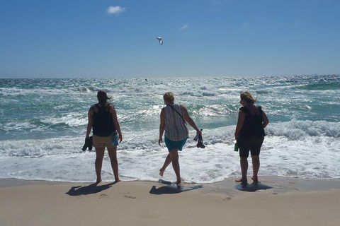 Very Best Of Perth Tour - Wildlife Park & City Highlights Tour - Accommodation Brisbane 5