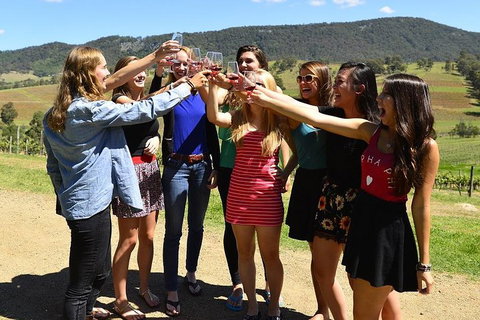 Hunter Valley Wine Tour From Sydney Incl Lunch, Cheese, Chocolate And Distillery - Accommodation Brisbane 3