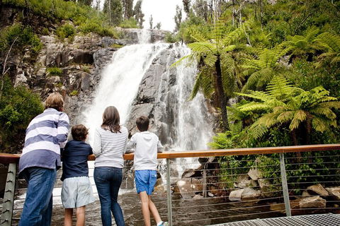 Lake Mountain Snow Trip Including Yarra Valley Chocolaterie From Melbourne - Accommodation Brisbane 0