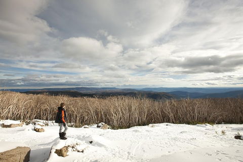 Lake Mountain Snow Trip Including Yarra Valley Chocolaterie From Melbourne - Accommodation Brisbane 5