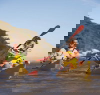 Kangaroo Island Self-Guided Kayaking on the Harriet River - Accommodation Brisbane