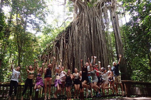 Atherton Tablelands Waterfalls Tour From Cairns - Accommodation Brisbane 5