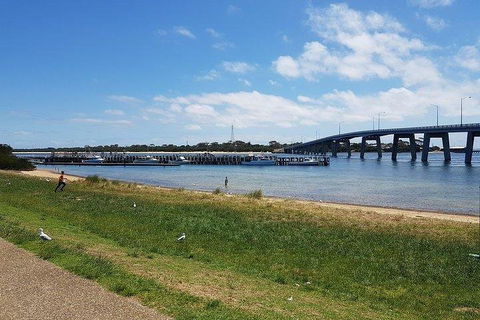 Phillip Island Penguin And Wildlife Tour - Accommodation Brisbane 4