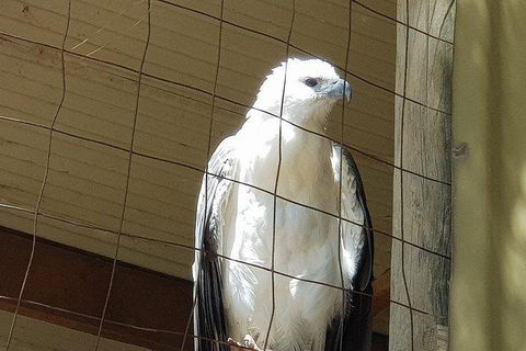 Phillip Island Penguin And Wildlife Tour - Accommodation Brisbane 5
