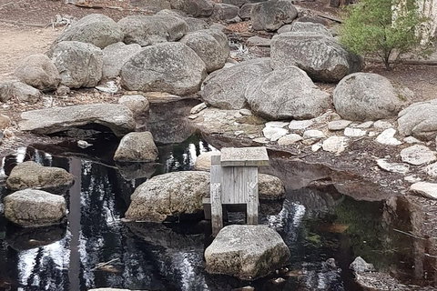 Bendigo, Echuca & The Mighty Murray - Accommodation Brisbane 1