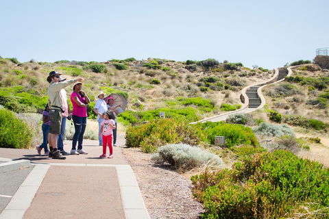 Margaret River Coastal And Wildlife Eco Trip From Busselton Or Dunsborough - Accommodation Brisbane 0