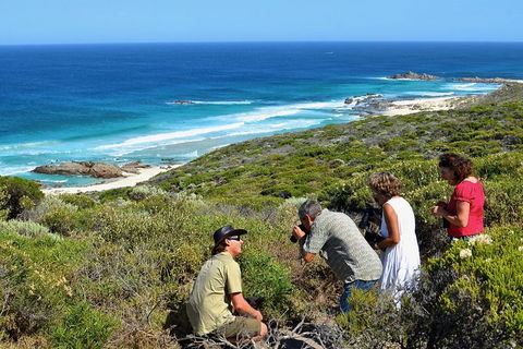 Margaret River Coastal And Wildlife Eco Trip From Busselton Or Dunsborough - Accommodation Brisbane 2