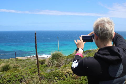 Margaret River Coastal And Wildlife Eco Trip From Busselton Or Dunsborough - Accommodation Brisbane 3